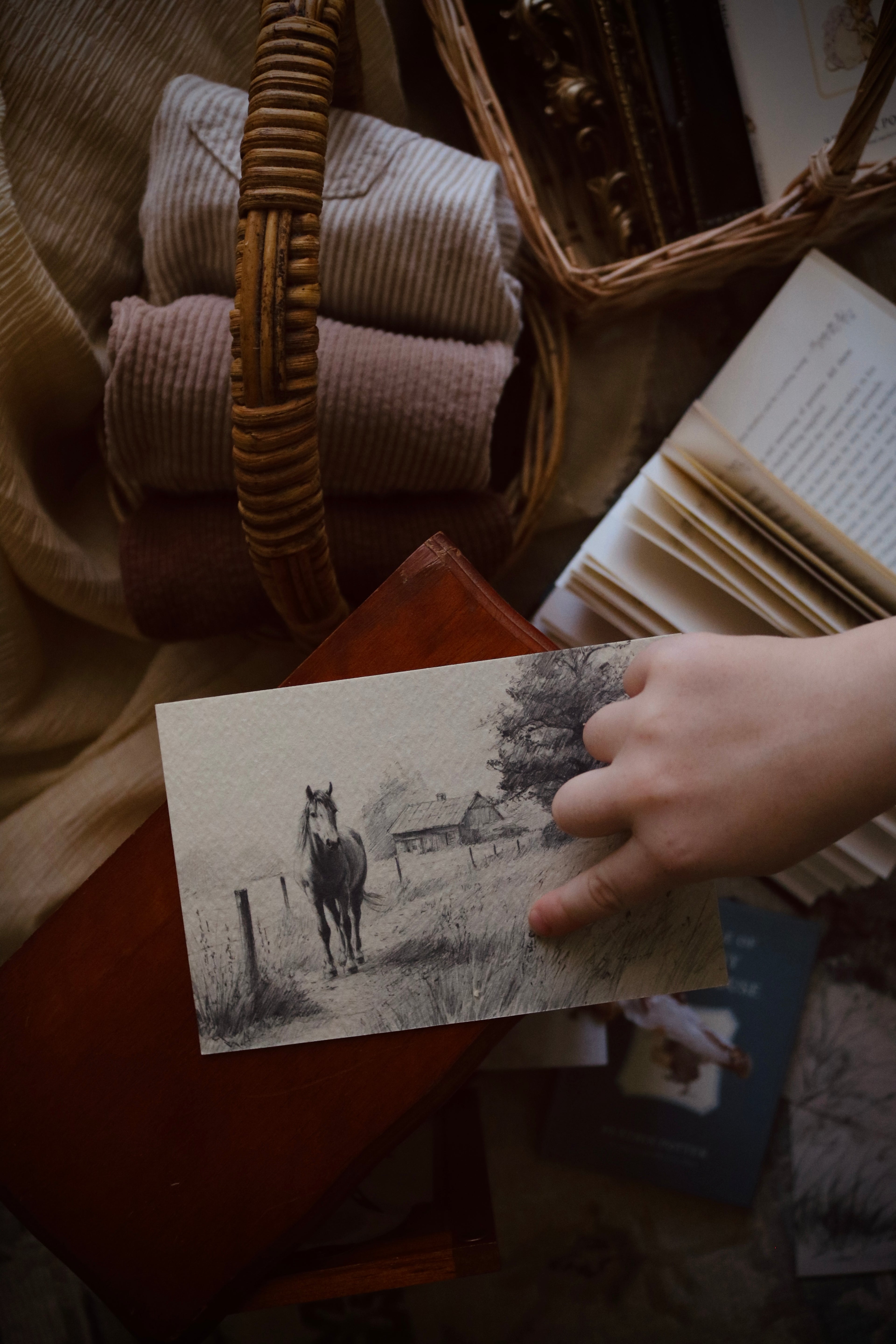 Horse in Golden Light | First Spring