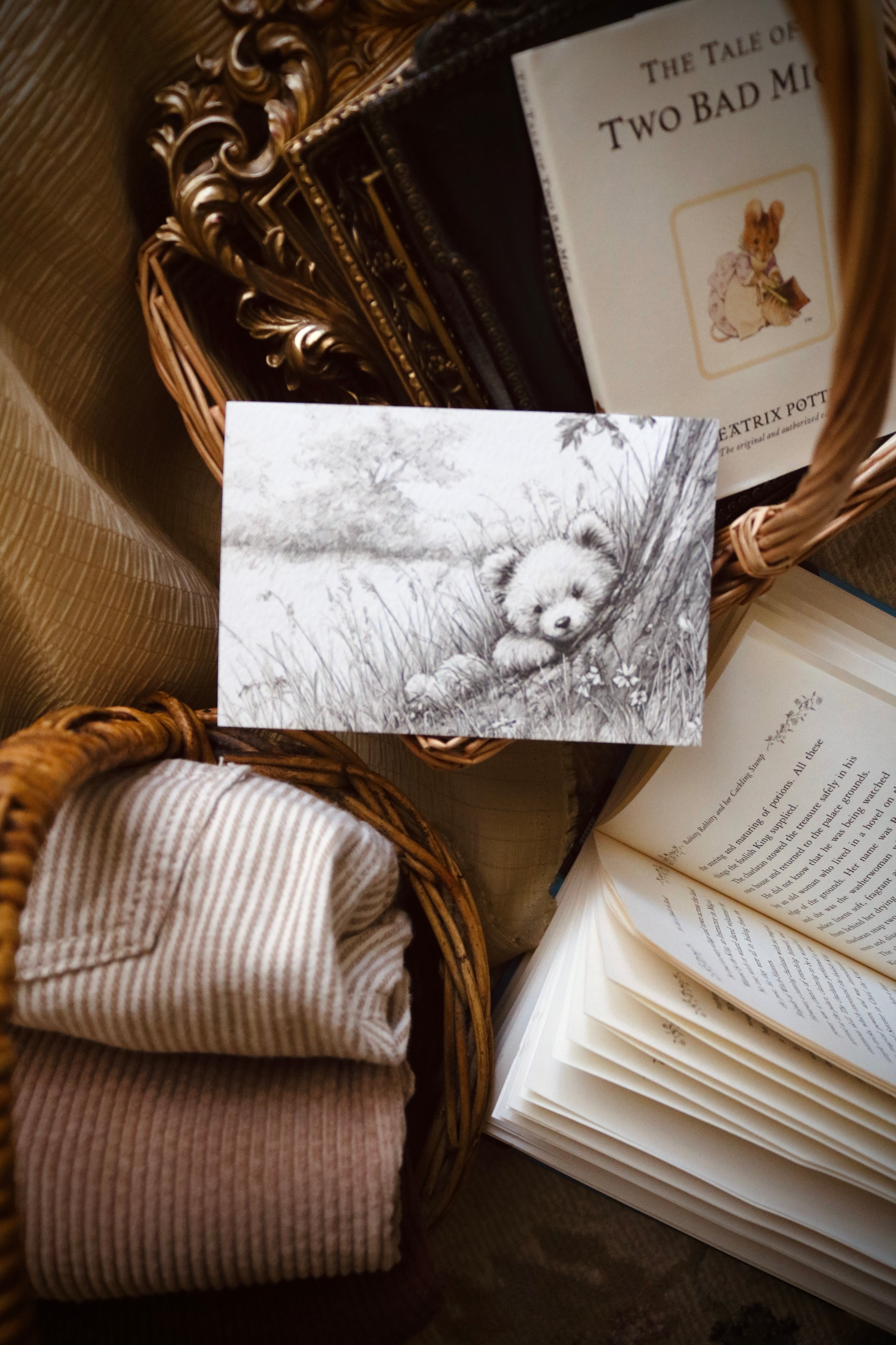 Peekaboo Bear | First Spring