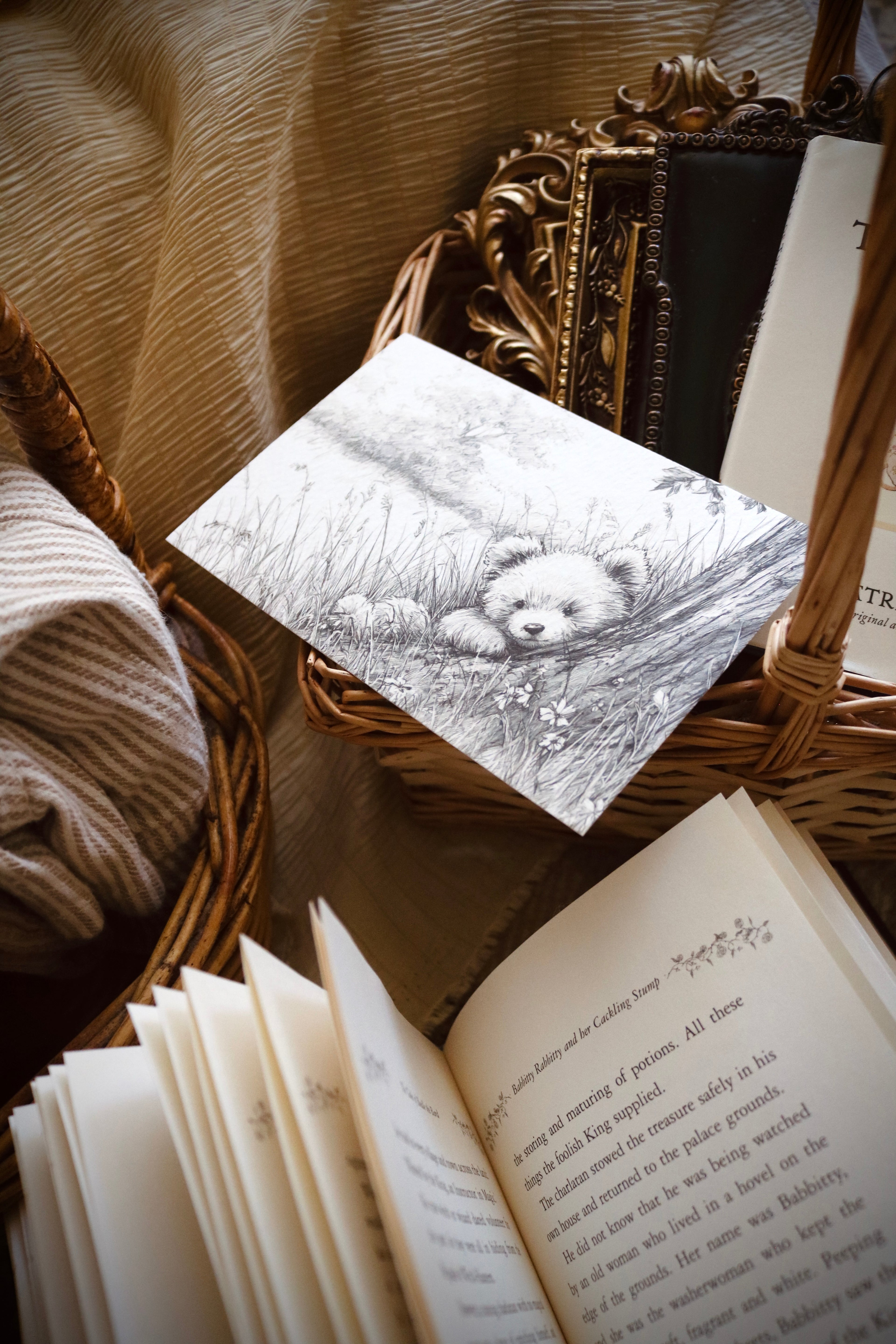 Peekaboo Bear | First Spring