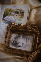 Swan’s Quiet Passage | First Spring