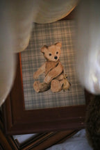 Teddy and Duck | Framed