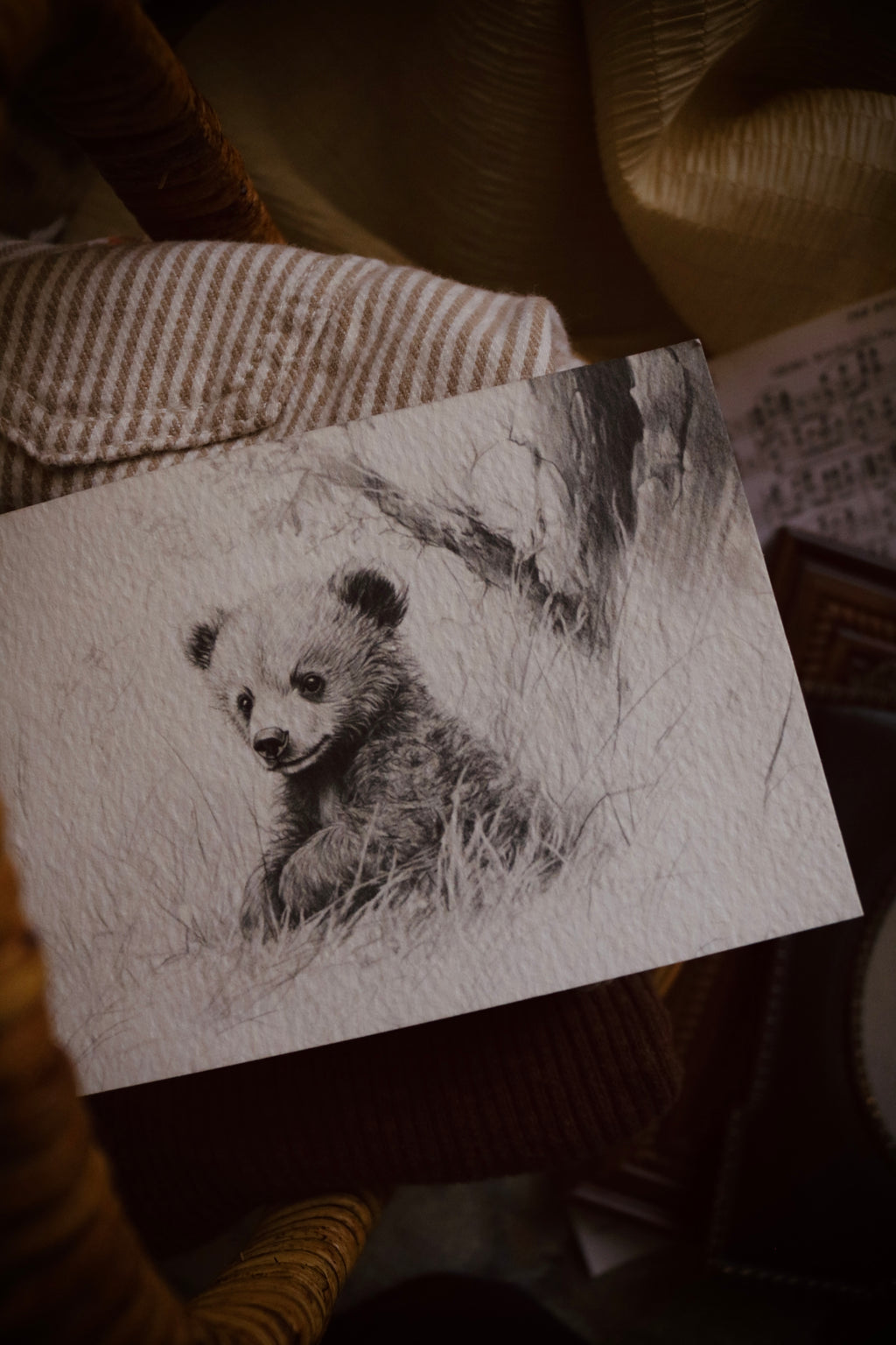Bear | First Spring