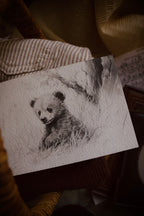 Bear | First Spring