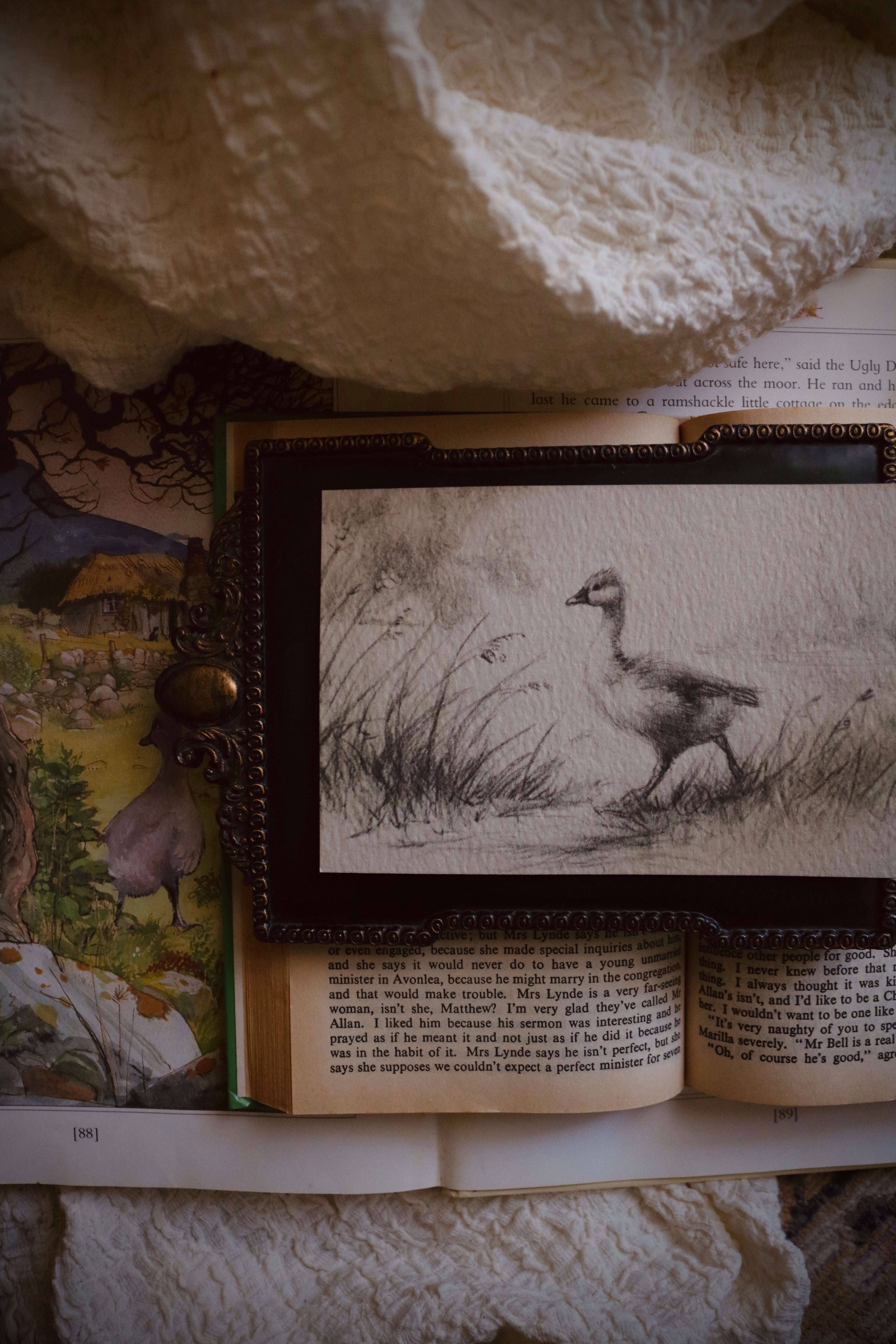Meadow Duck  | First Spring