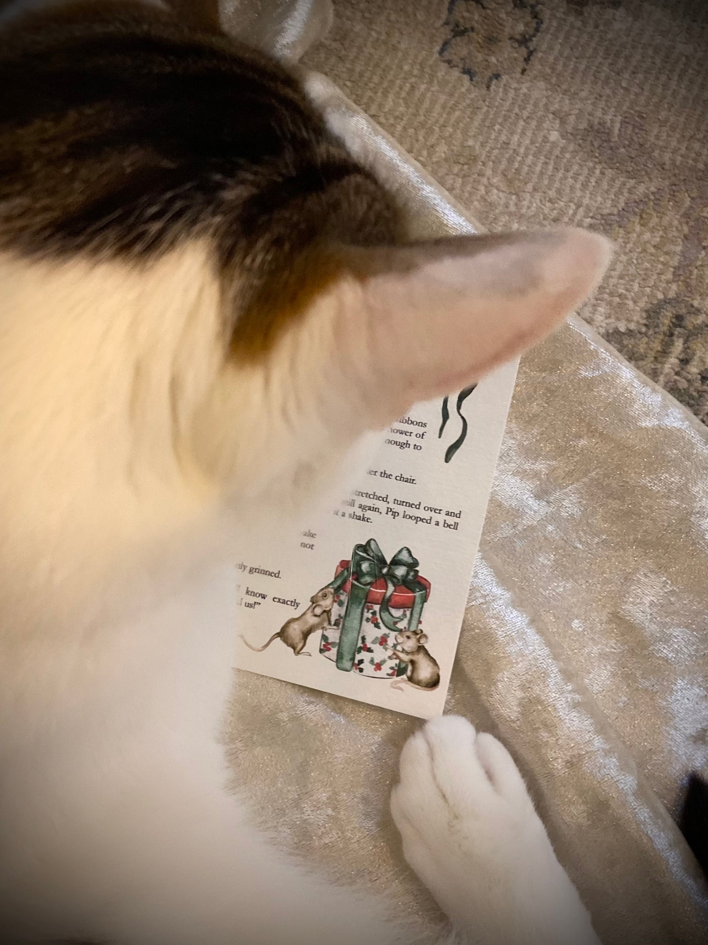 Tiny Tales for Christmastime Hearts | Short Christmas Stories