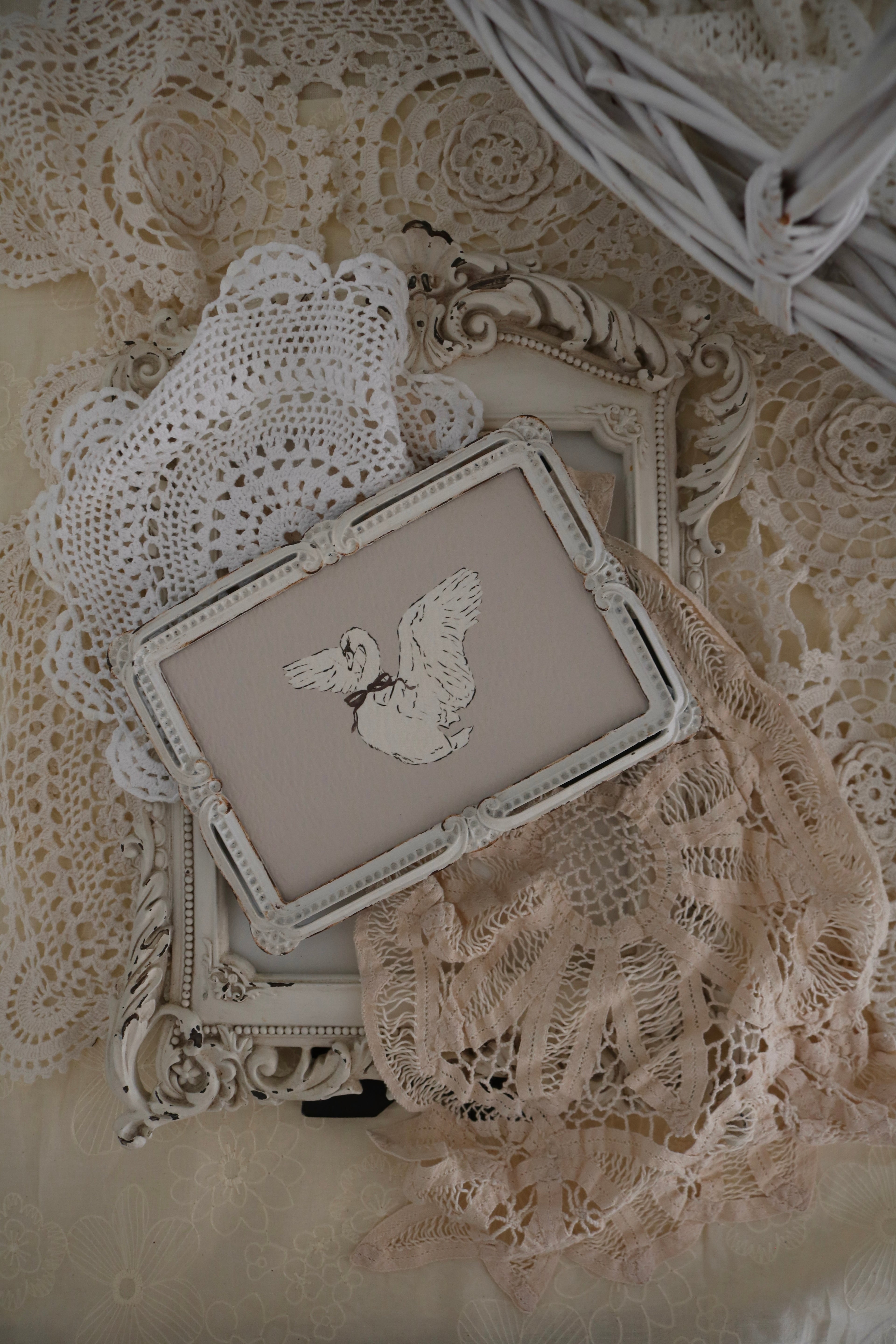 Swan Sketch | Framed