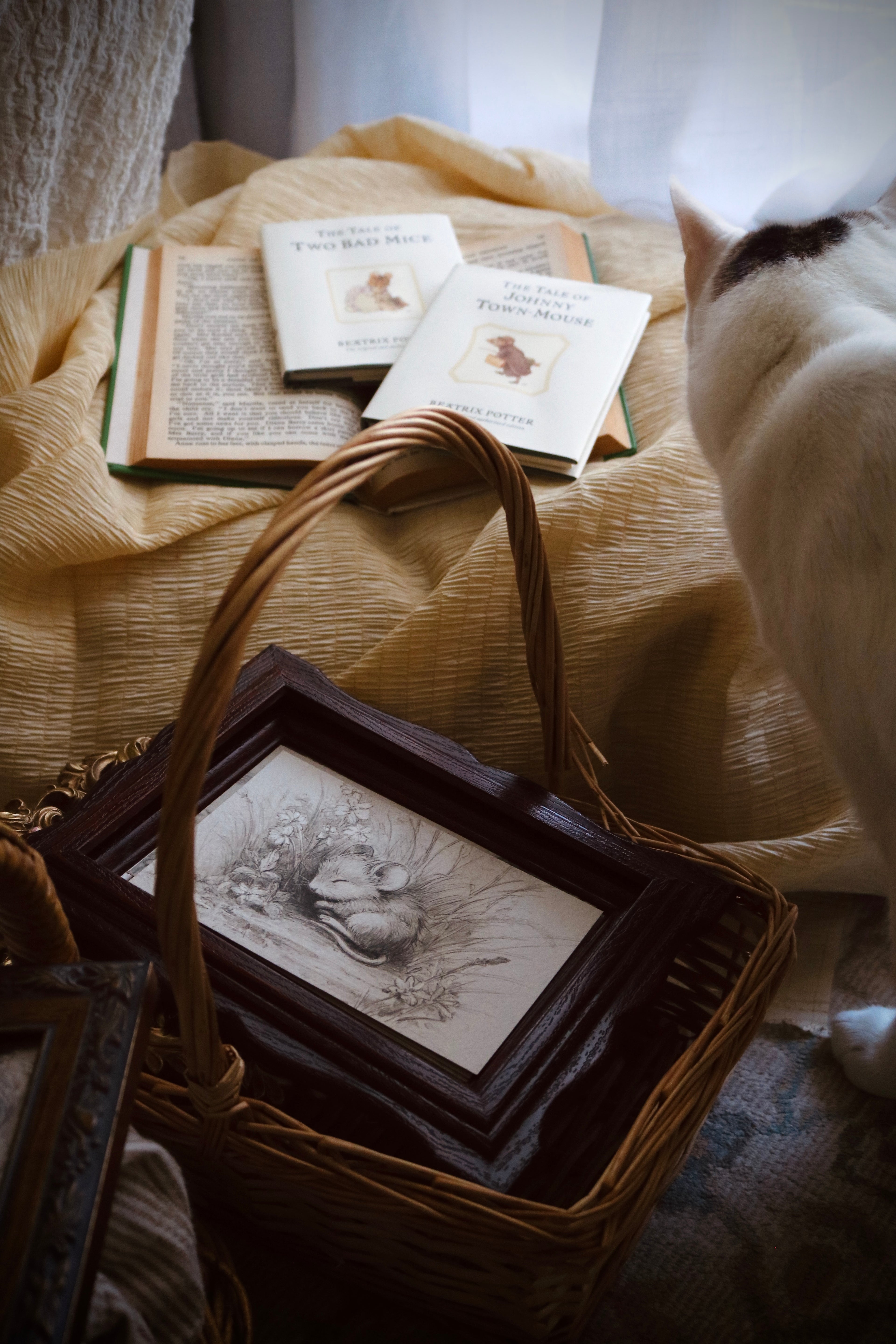 Little Mouse in Sweet Repose | First Spring
