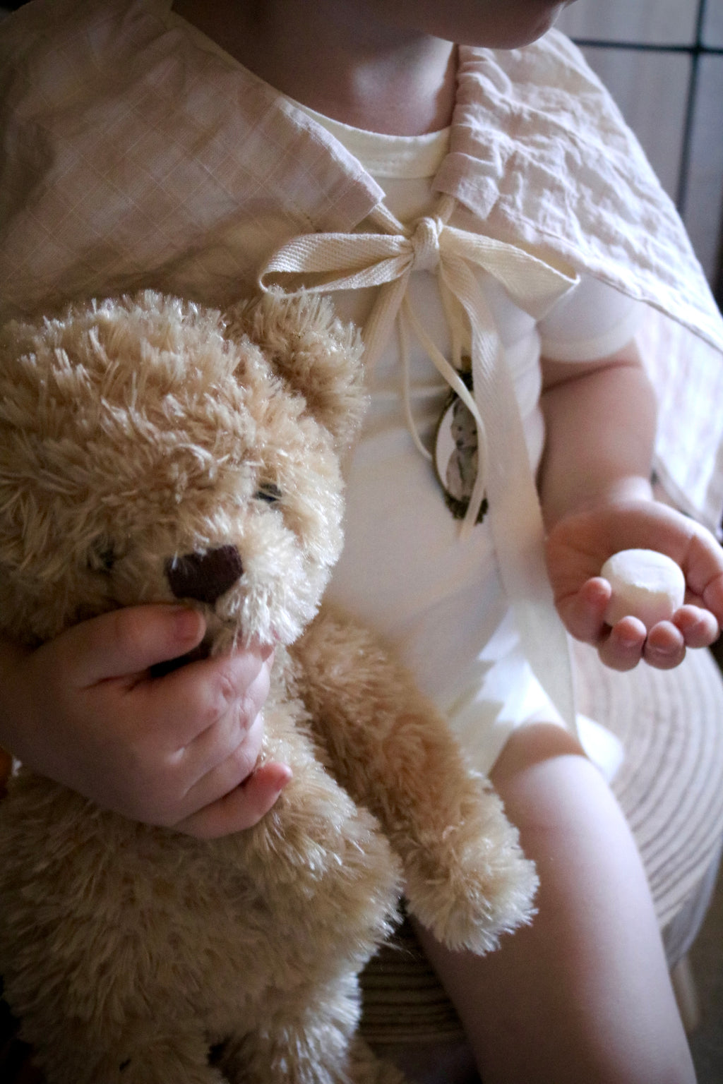 Gingham Capelet with Teddy Brooch