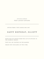 Large Birthday Banner with Custom Text