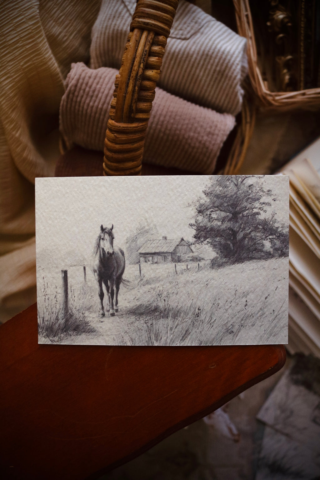 Horse in Golden Light | First Spring