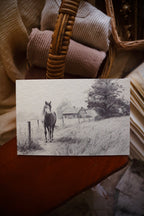 Horse in Golden Light | First Spring
