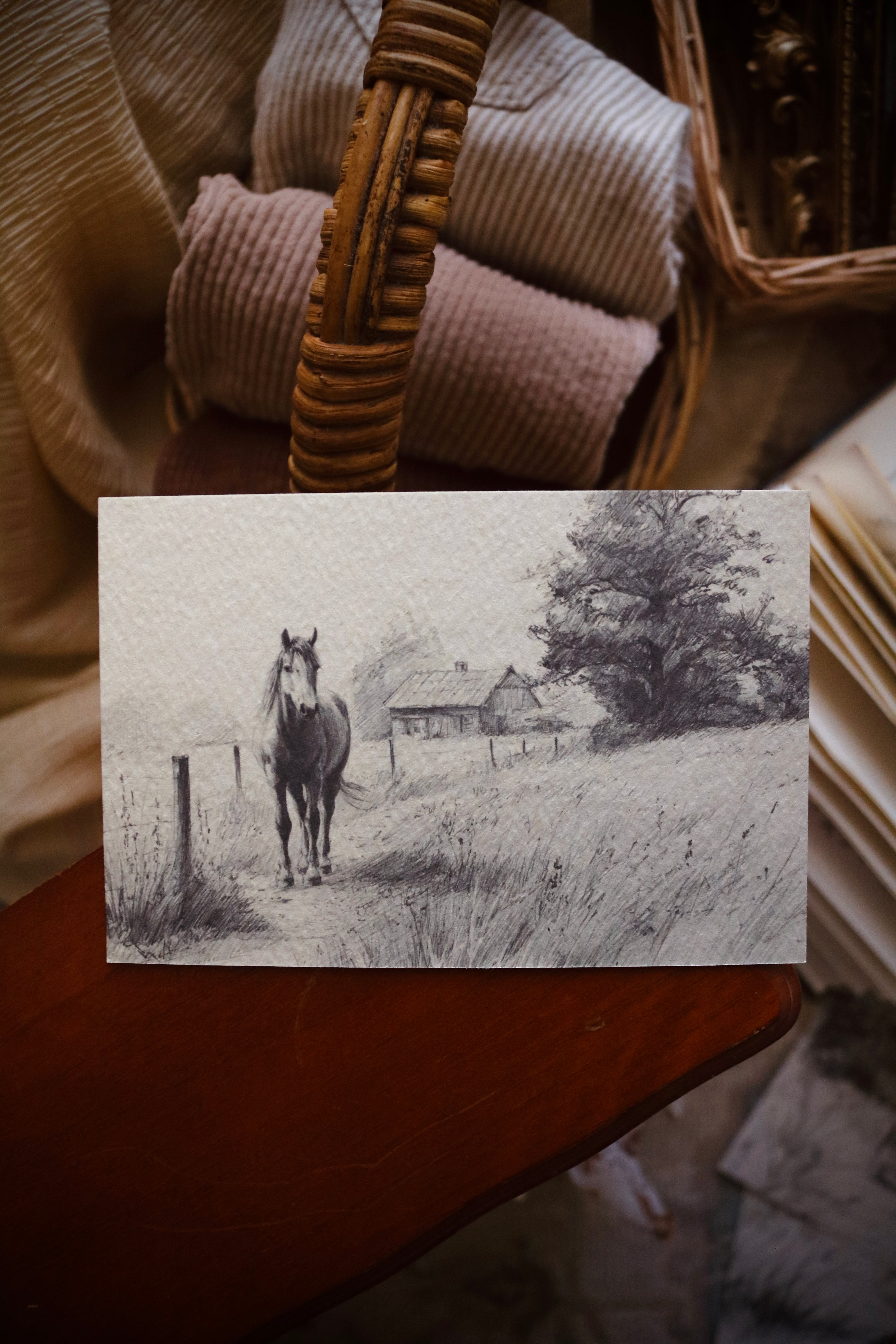 Horse in Golden Light | First Spring