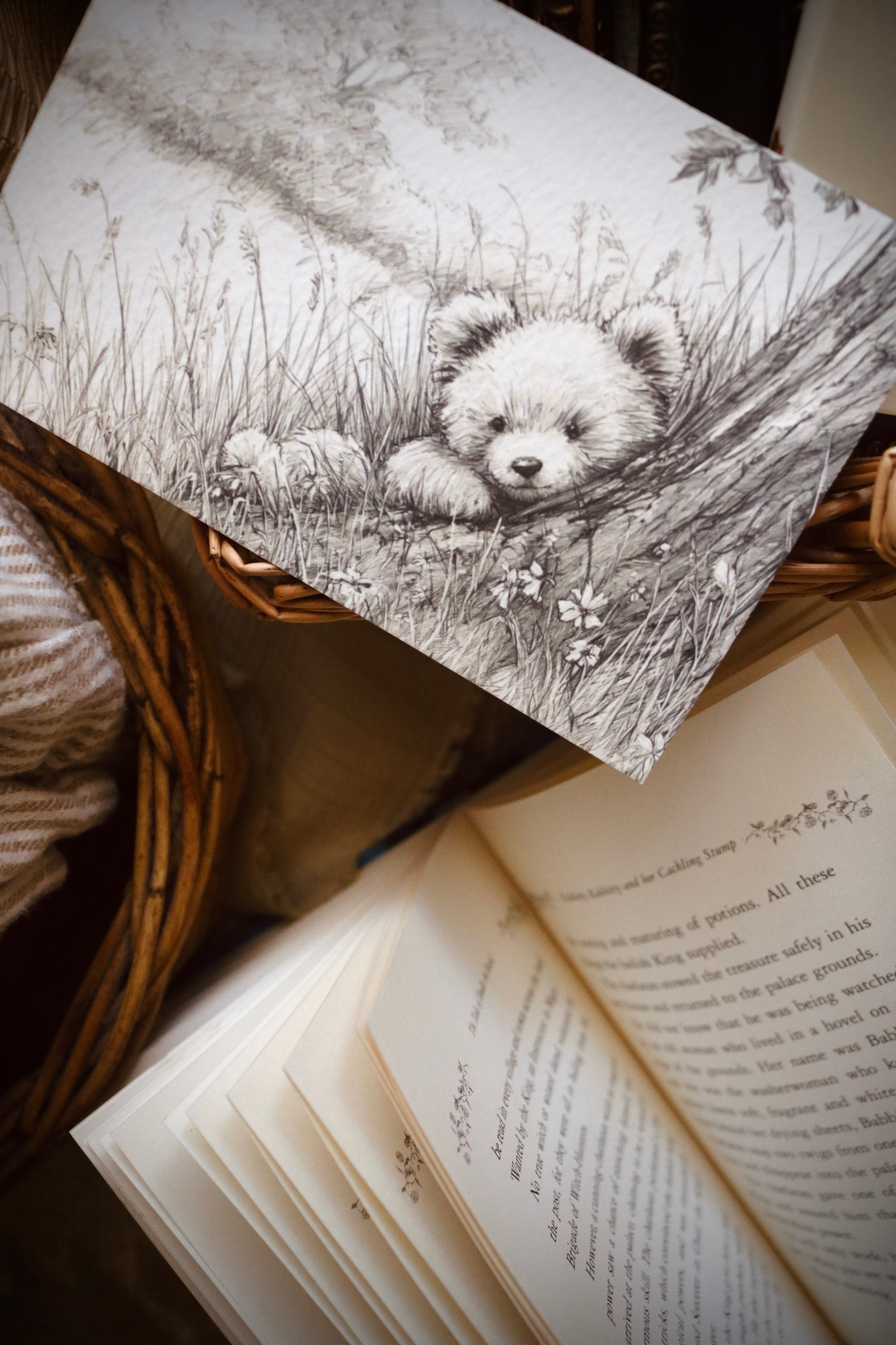 Peekaboo Bear | First Spring