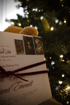 The First Delivery of December | Letter from Santa