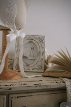 Mother Swan and Her Cygnets | The Storykeeper’s Shelf