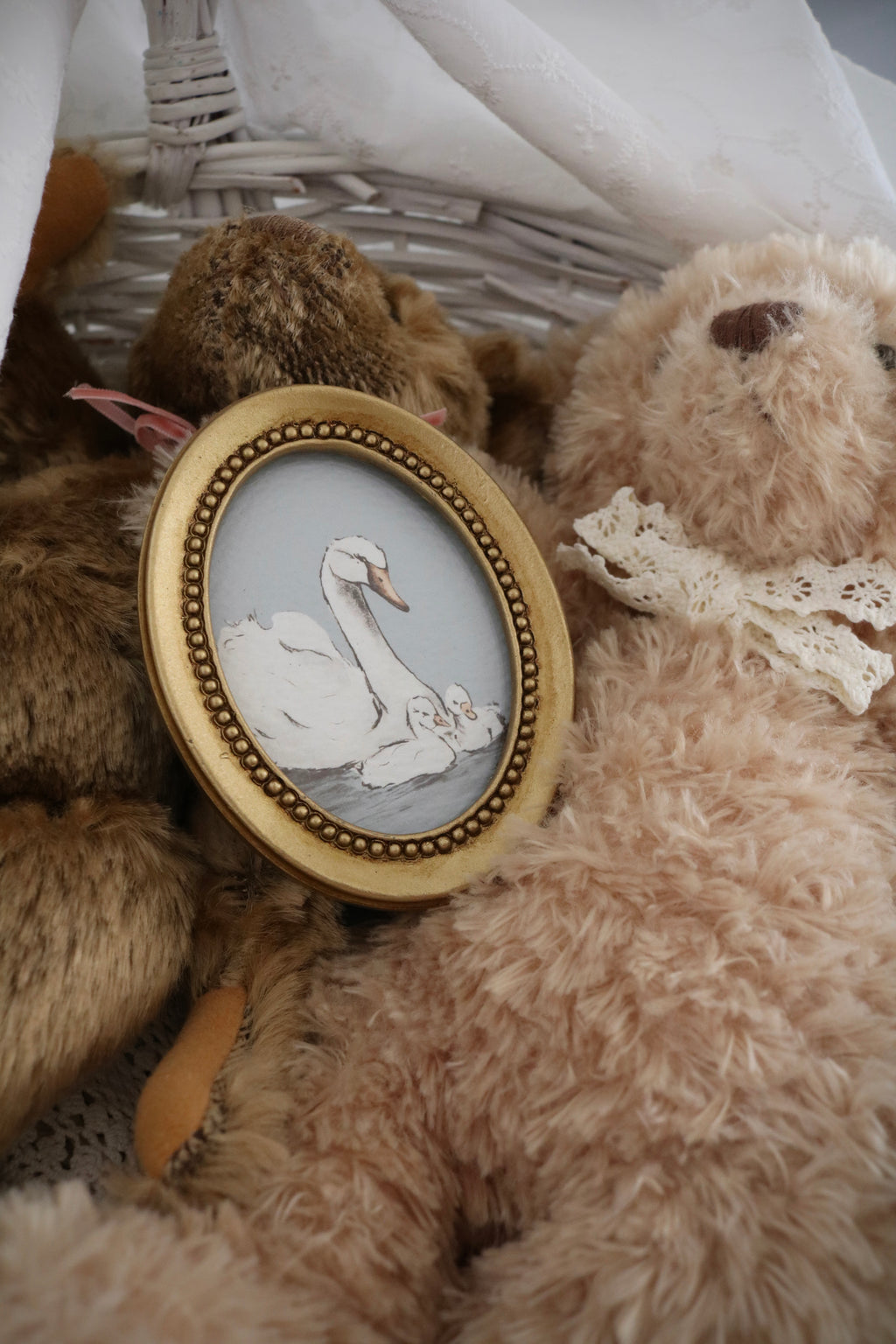 Mama Swan and Her Cygnets | Framed