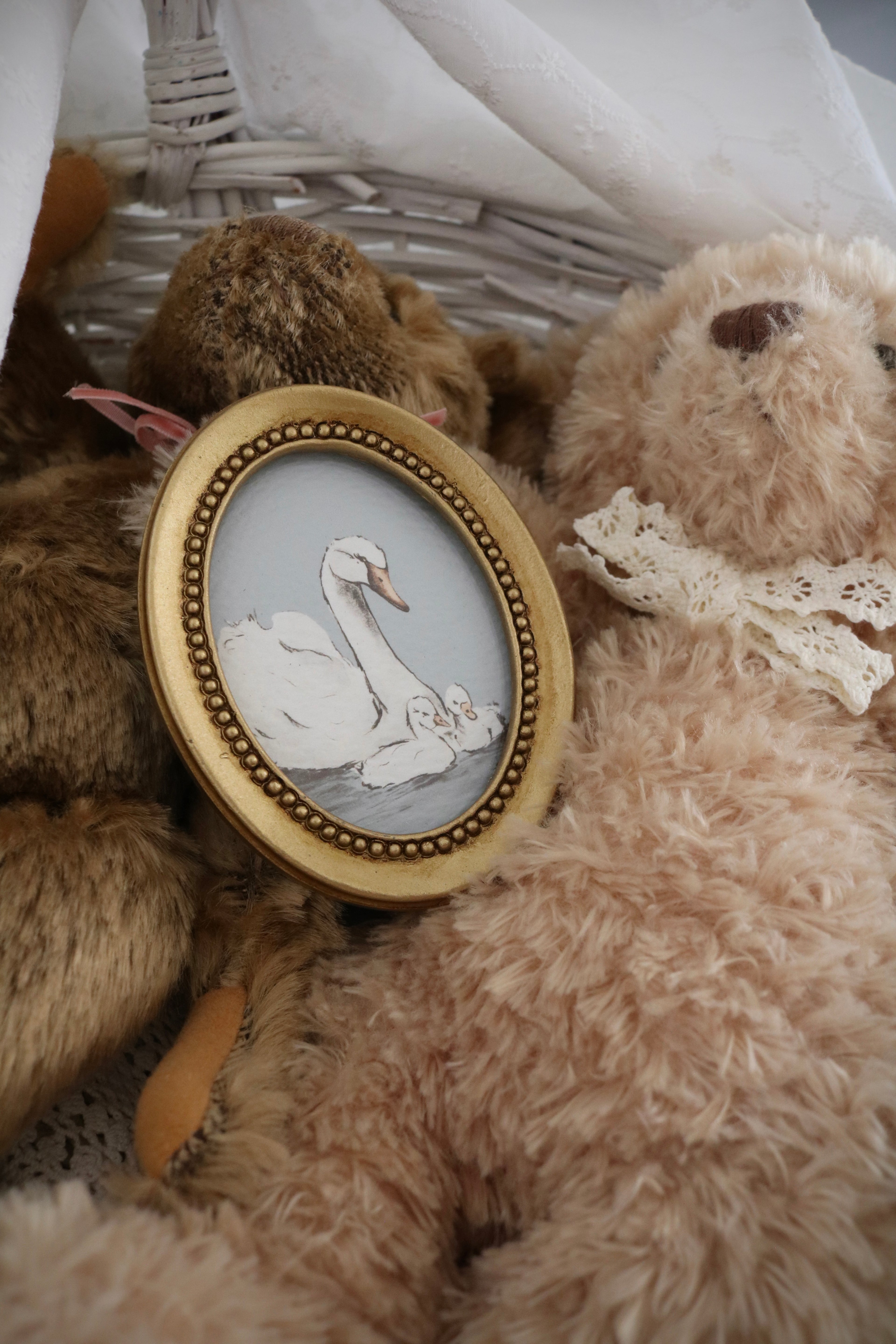 Mama Swan and Her Cygnets | Framed