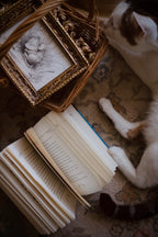 Little Mouse in Sweet Repose | First Spring