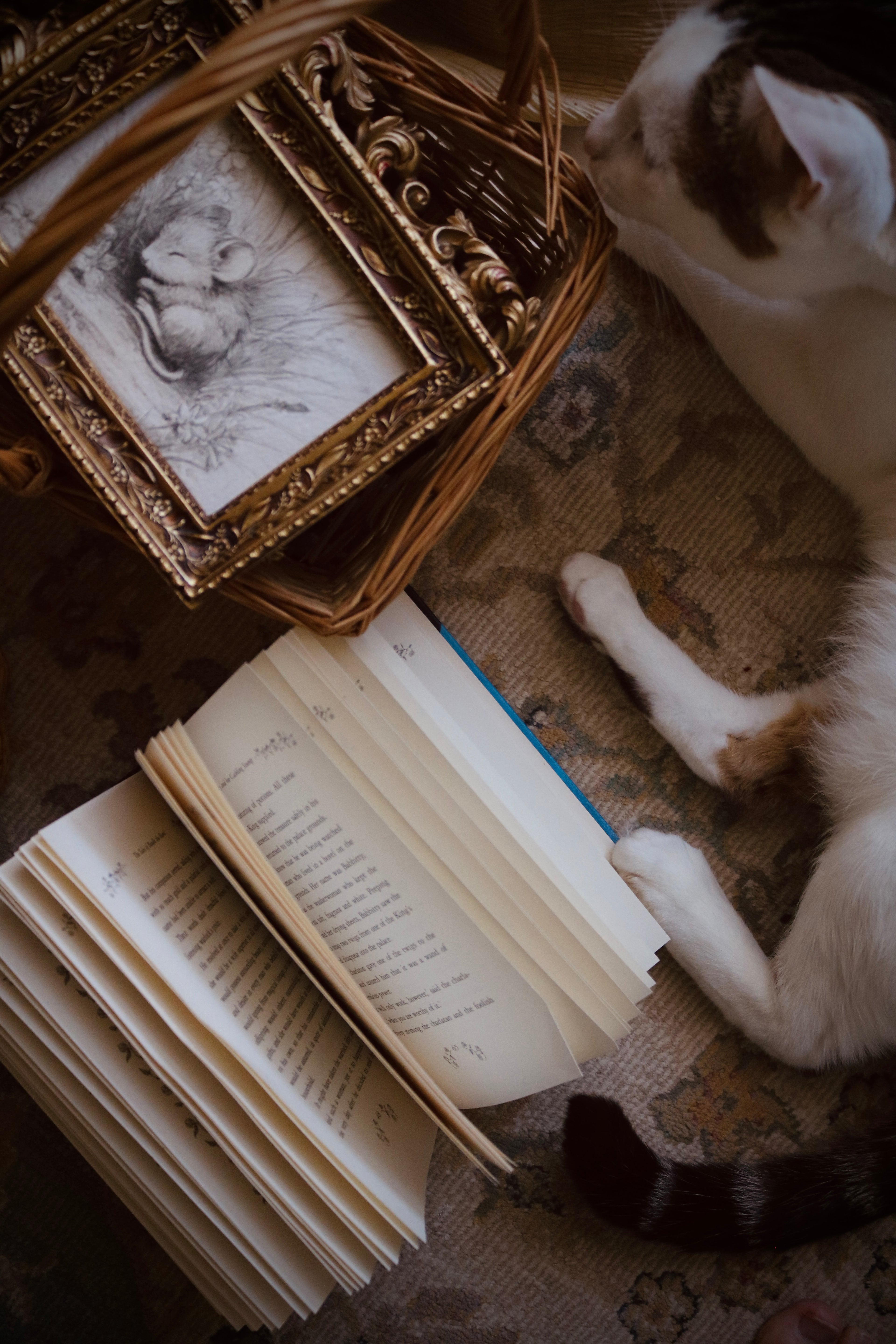 Little Mouse in Sweet Repose | First Spring