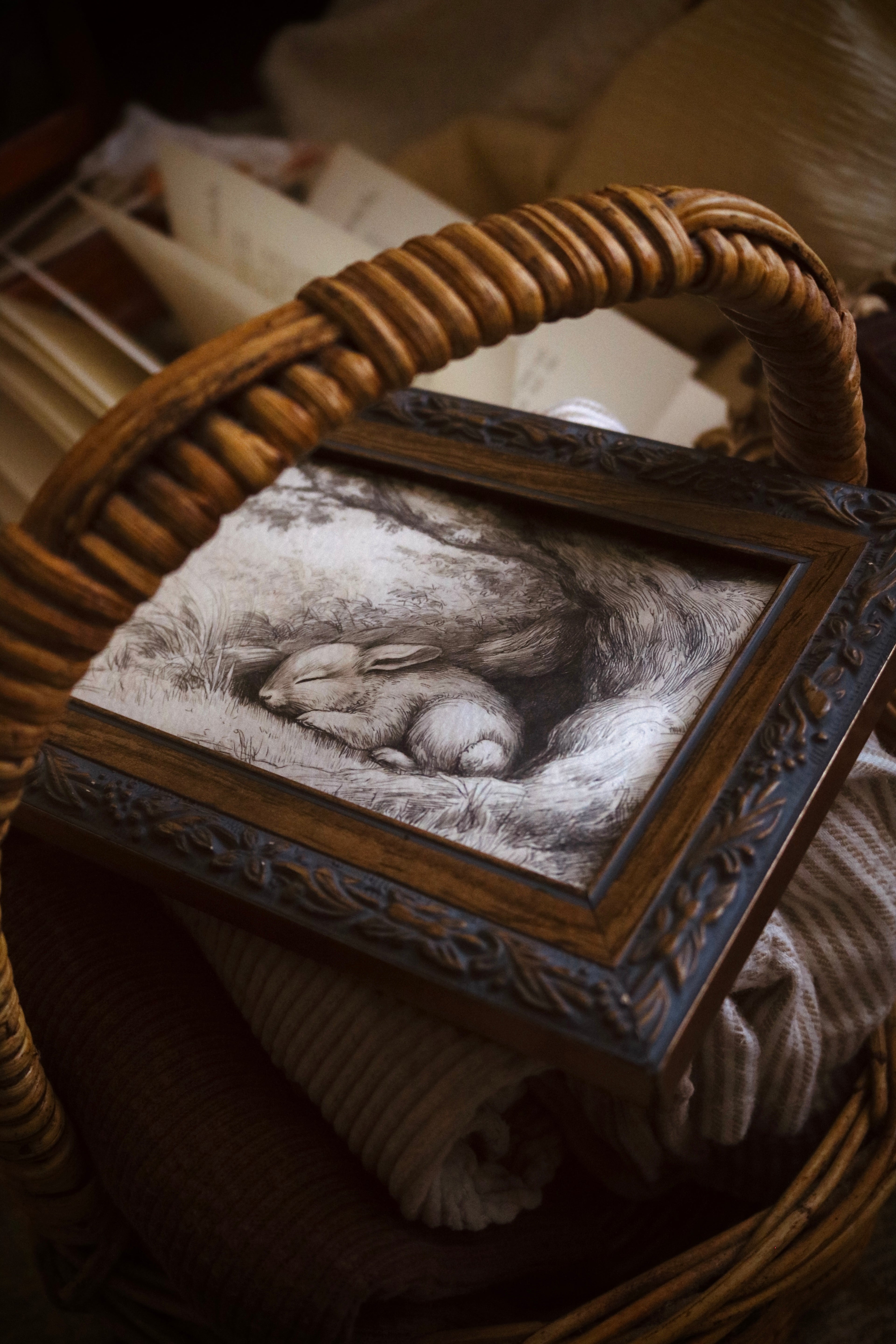 Bunny’s Gentle Slumber | First Spring