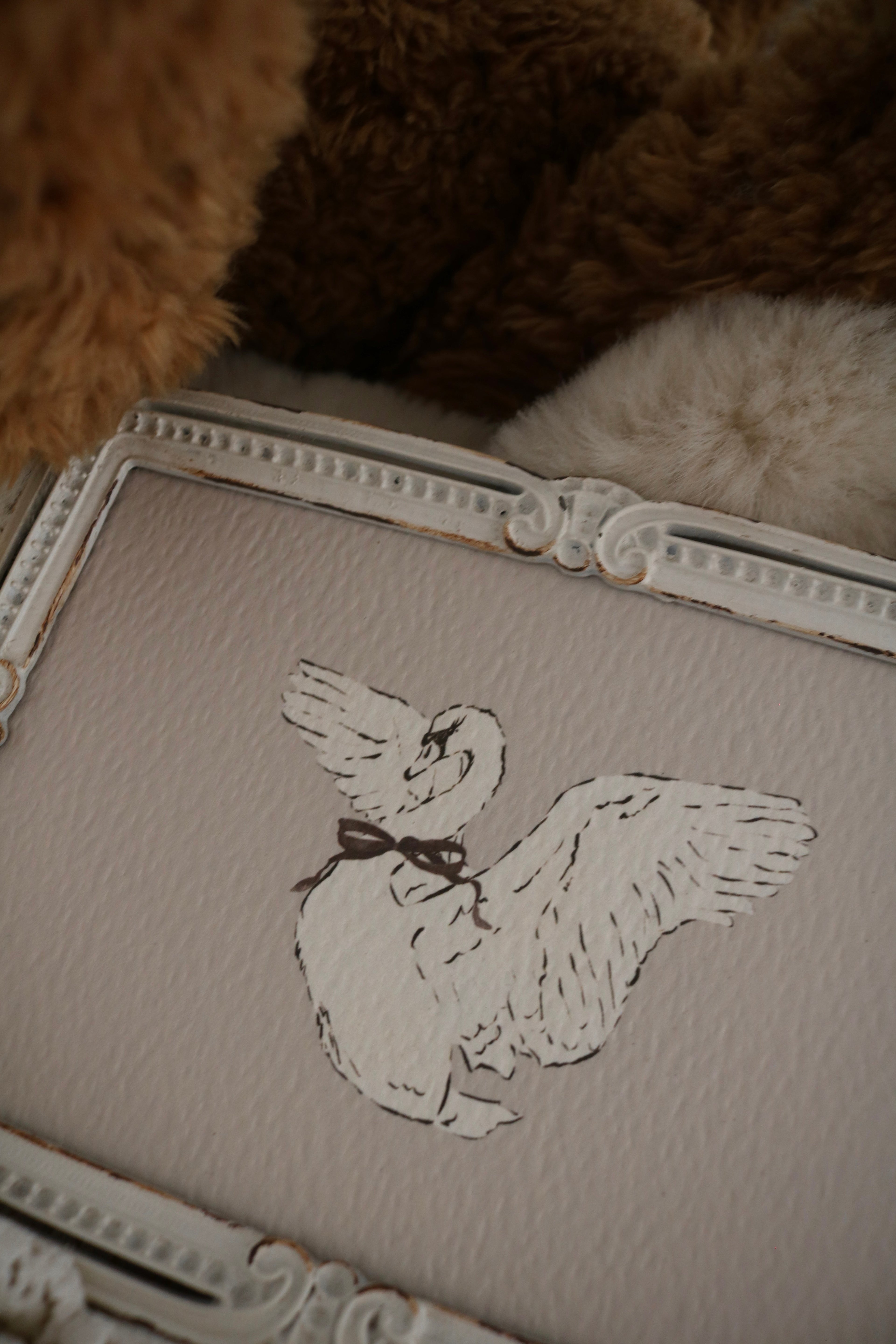 Swan Sketch | Framed