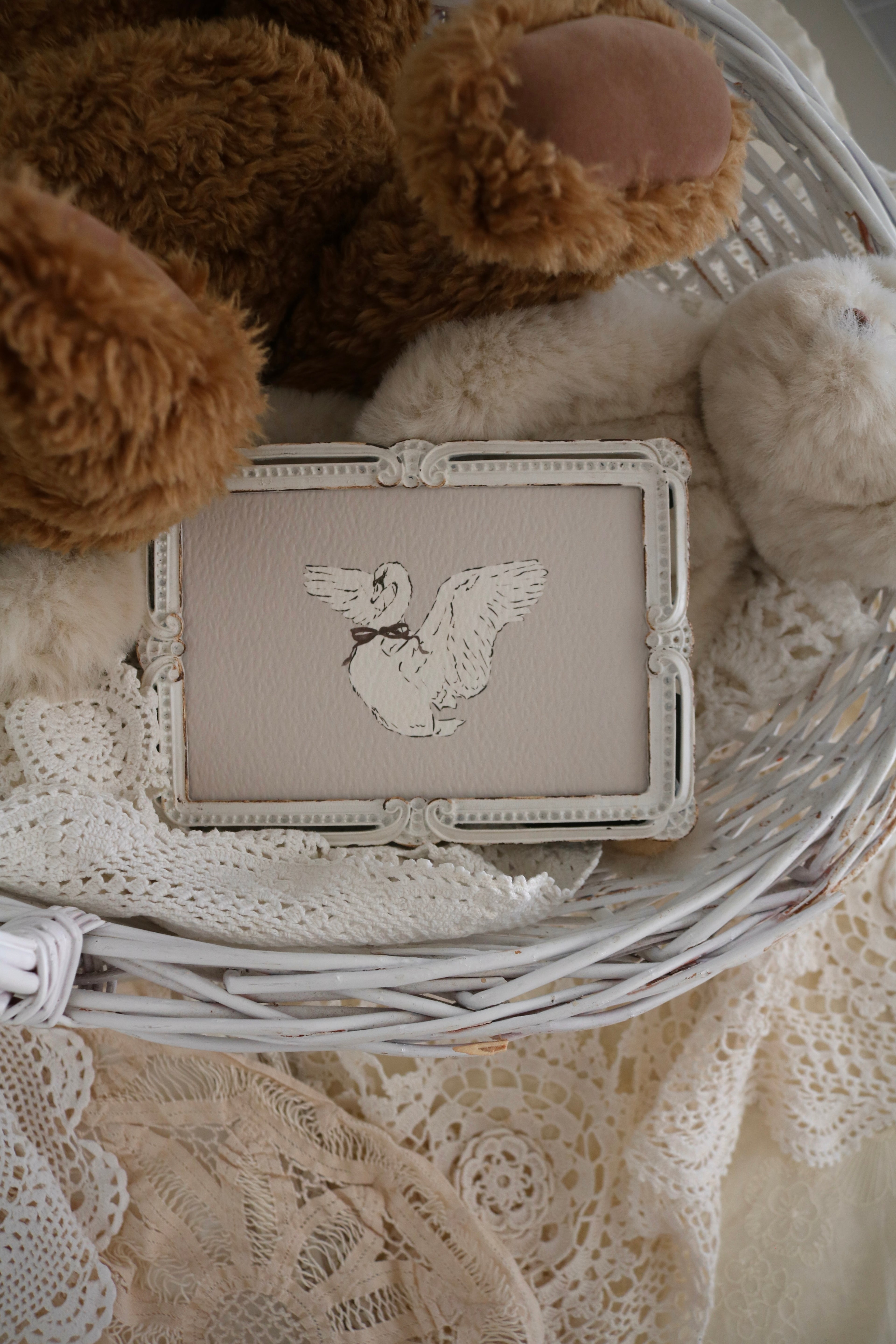 Swan Sketch | Framed