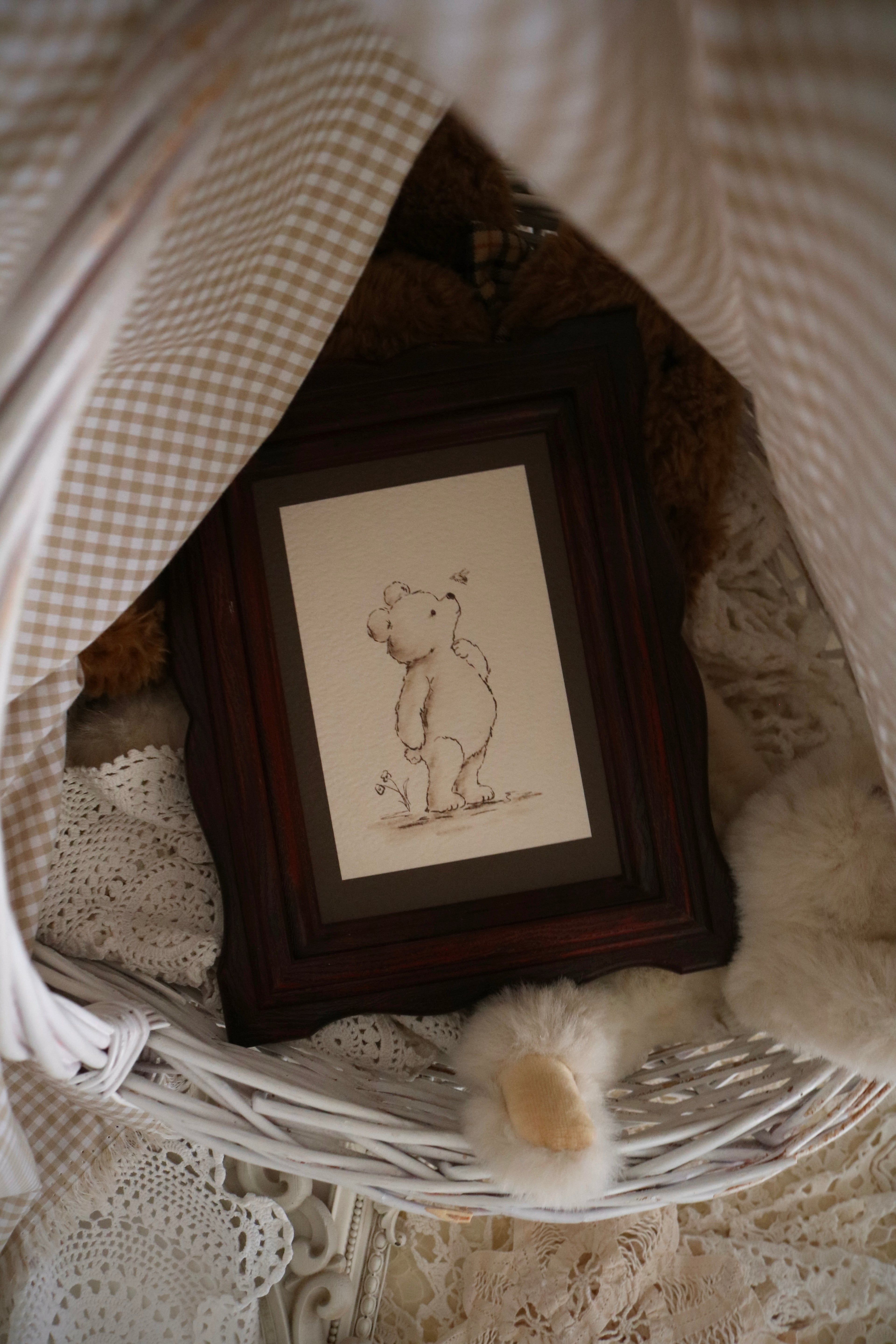 Teddy and the Bee | Framed