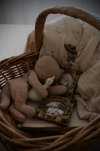 Sleepy Friends | Duckling and Kitten | First Spring