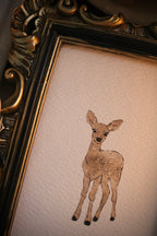 Fawn | Framed