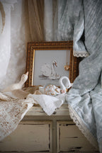 Mother Swan and Her Cygnets | The Storykeeper’s Shelf