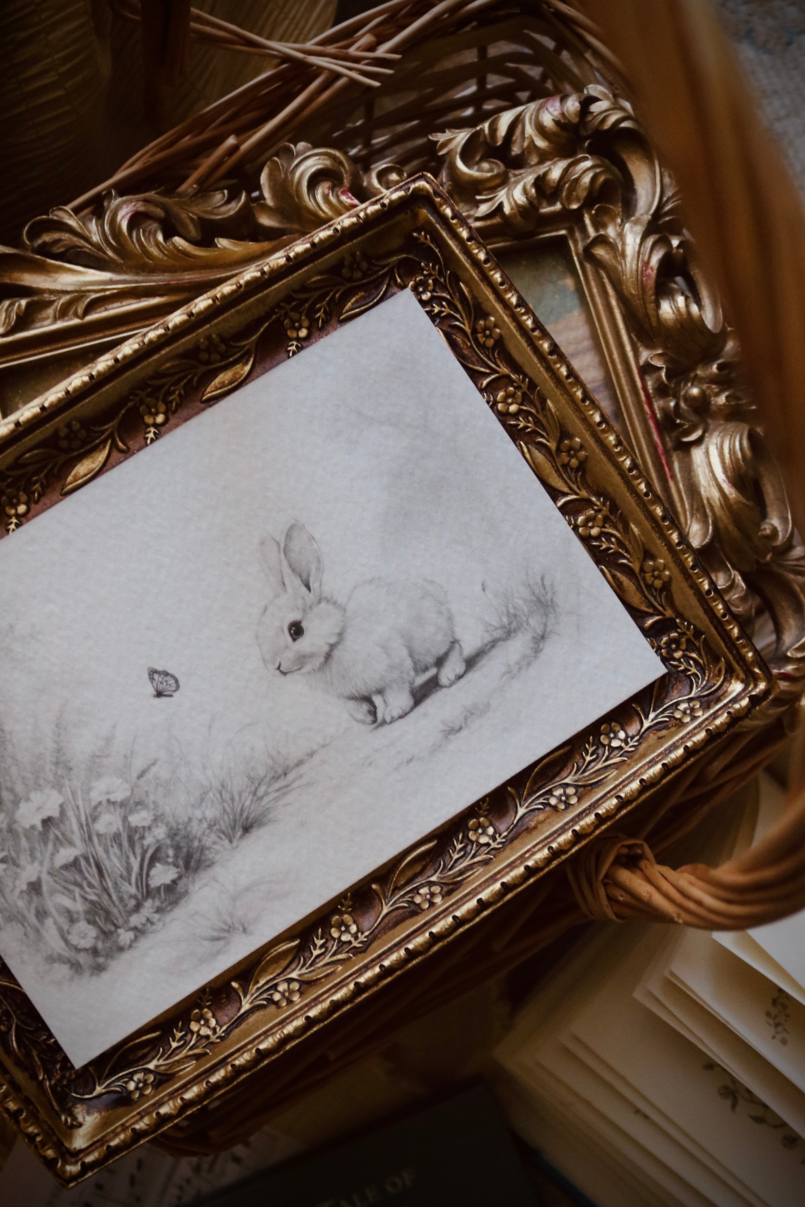 Bunny’s Curious Delight  | First Spring