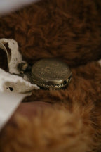 The Teddy Locket