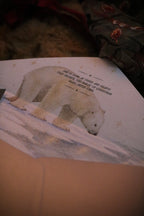 Letter from Santa Claus | Special Edition