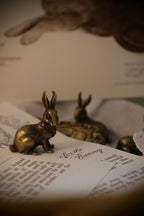 Brass Bunny