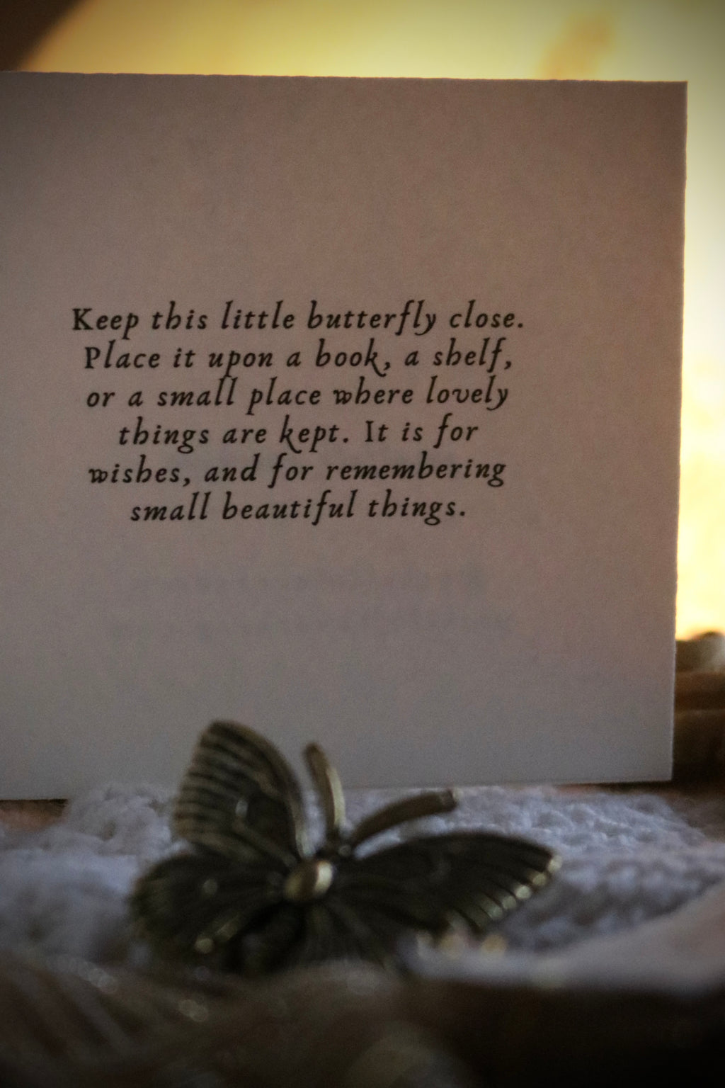 A Little Wish Butterfly