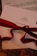 The First Delivery of December | Letter from Santa