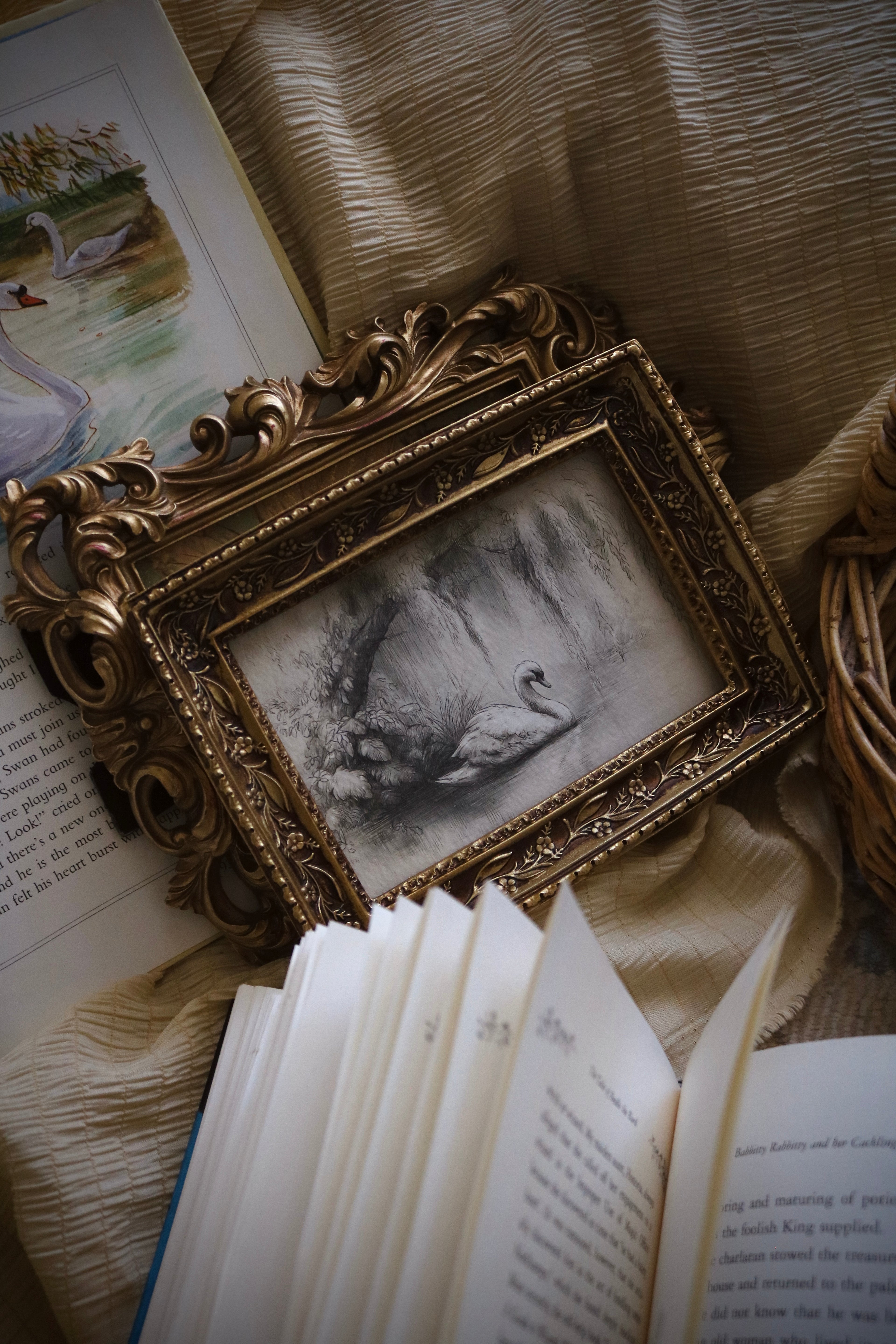 Swan’s Quiet Passage | First Spring