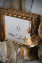 Mother Swan and Her Cygnets | The Storykeeper’s Shelf