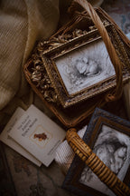 Little Mouse in Sweet Repose | First Spring